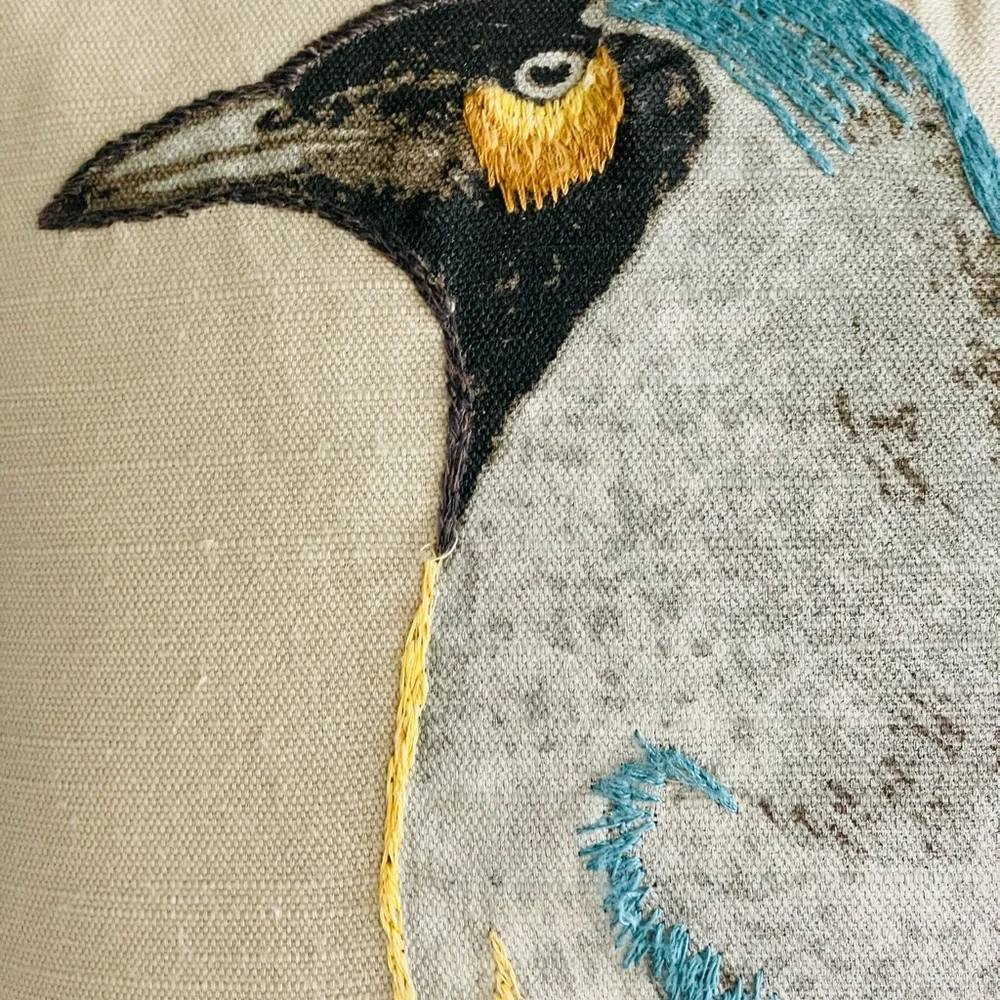 POTTERY BARN SCIENTIFIC BIRD EMBROIDERED THROW PILLOW INSERT 20x20.